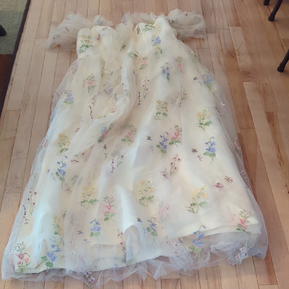Sheer Floral Embroidered Dress